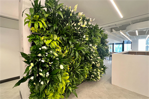 Living wall system